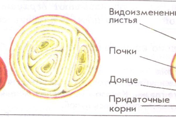 Кракен сайт 2krnk