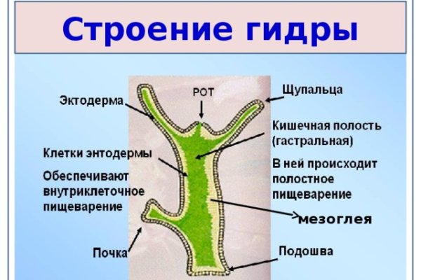 Как зайти на кракен дарк