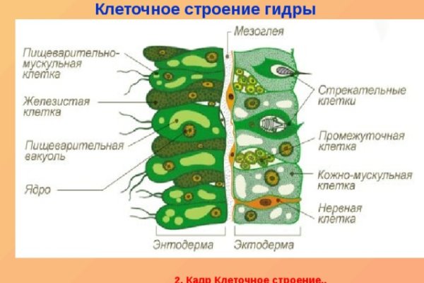 Кракен зеркало на сегодня